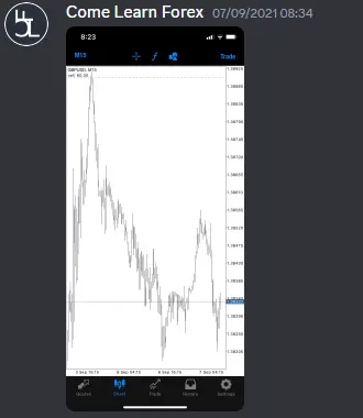 CLF student trading result 2021 no.196